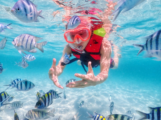 Dive into Nemo's World – Snorkeling Experience from Pattaya