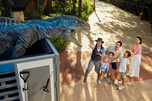 Universal Studios Singapore Ticket