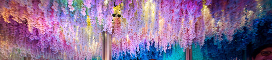 Jewel Changi Airport Attraction Ticket in Singapore