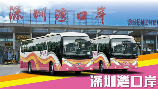 Hong Kong - Shenzhen Bay Port Shared Bus by Trans - Island Chinalink