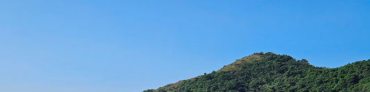 Tai O Sightseeing Boat | 20mins Tai O Boat Trip