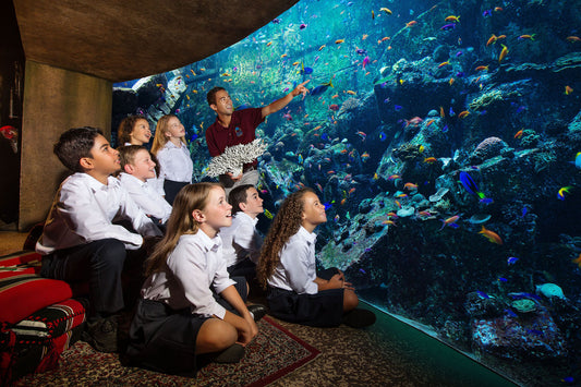 Lost World Aquarium Ticket in Atlantis Dubai