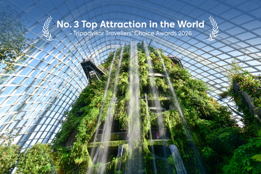 Gardens by the Bay Ticket