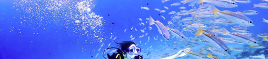 Phuket Dive Trip Racha Island(s) For All-level in Phuket