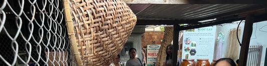 Da Nang Tam Thanh Mural Village Small Group Tour