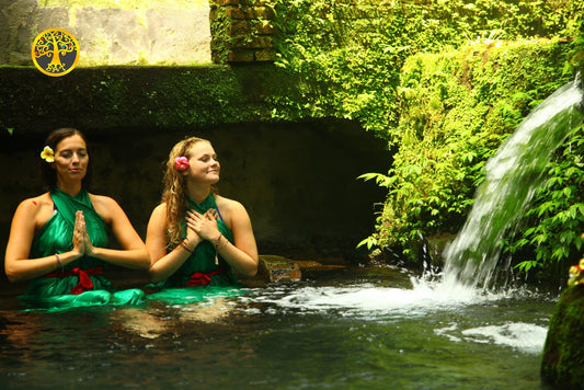 Bali Holy Bath and Jungle Swing Private Day Trip