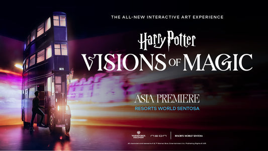 Harry Potter: Visions of Magic