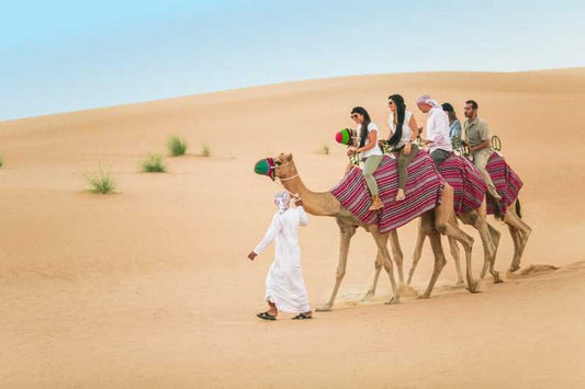 Best Desert Safari Tours in Dubai