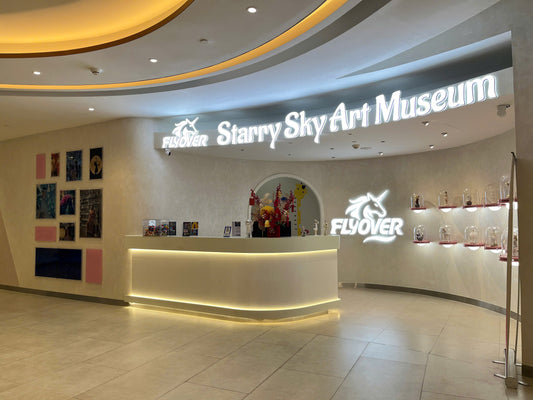 Flyover Starry Sky Art Experience Ticket in Ho Chi Minh City