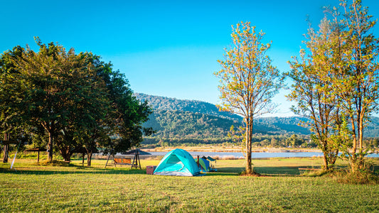 Khao Yai Private Custom Tour from Bangkok: National Park and More