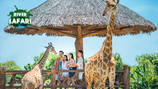VinWonders Nam Hoi An Ticket