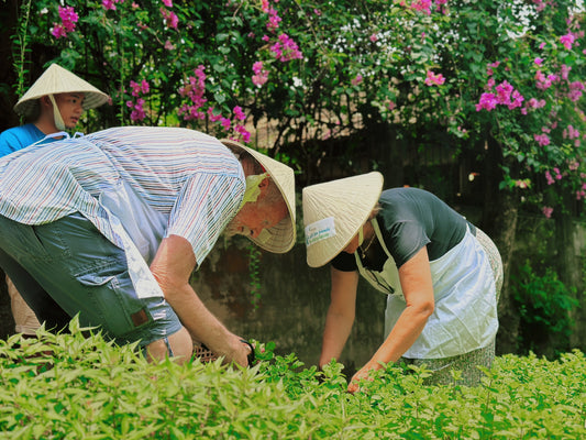 Private Farm Tour & Cooking Class in Ho Chi Minh City