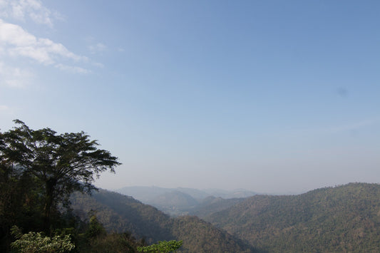1-Day, 2-Day, or 3-Day Khao Yai Nature & Wildlife Private Car Charter Tour from Bangkok