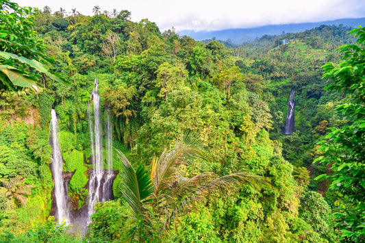 Bali Sekumpul Waterfalls & Pura Ulun Danu Bratan Private Day Tour