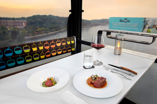 Cable Car Dining Experience in Singapore