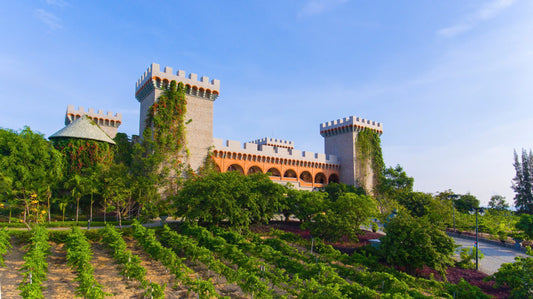 RD Wine Castle Ticket in Mui Ne