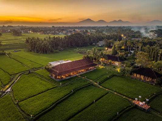 Afternoon Tea, Cooking Class, and Dining at Tanah Gajah Ubud