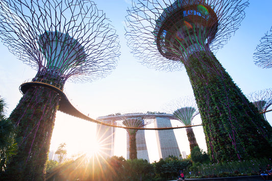 Singapore Gardens by the Bay 2.5-Hour Guided Tour
