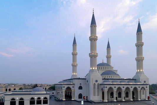 Dubai City Tour with Blue Mosque Visit & Al Khayma Heritage House