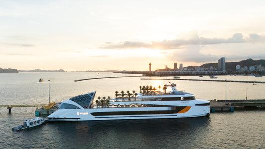 Dolphin Day Cruise: Ha Long, Sung Sot, Ti Top with Luxury Transfer