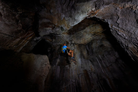 Rainforest Wild Adventure Ticket | Mandai Wildlife Reserve, Singapore