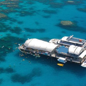 Great Barrier Reef Pontoon from Cairns including Snorkelling