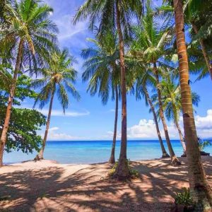 Oslob Whale Shark and Tumalog Falls Day Trip from Dumaguete. i want to transalte