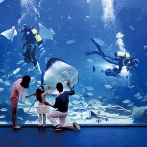 Aqua Planet Ticket in Ilsan