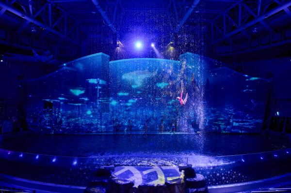 Aqua Planet Jeju Ticket [Foreigners Only]