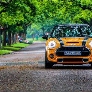 [attraction name] auto_test
