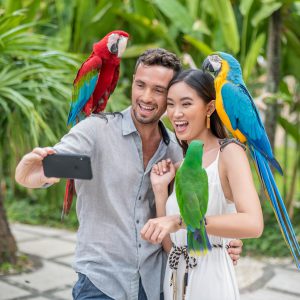 Bali Bird Park Ticket