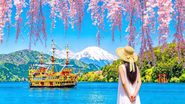 [Mount Fuji Hakone Day Trip] Owakudani & Lake Ashi Pirate Ship & Lake Yamanaka & Oshino Hakkai & Ropeway Experience Tour (From Tokyo)