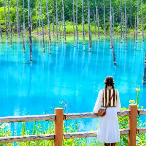 [Hokkaido Day Trip] Asahiyama Zoo (Including Admission) + Shikisai-no-oka + Biei Instagram-Famous Trees/Blue Pond & Shirahige Falls (Other Seasons) + Furano Ningle Terrace | Departure from Sapporo - Complimentary Hot/Cold Drink
