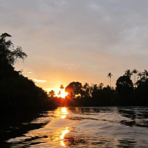 Klias River Proboscis Monkey & Fireflies Cruise (Fully Guided Tour)