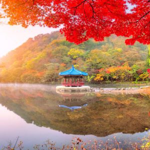 Naejangsan National Park - Autumn Maple Day Tour from Seoul / Busan