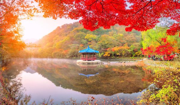 Naejangsan National Park - Autumn Maple Day Tour from Seoul / Busan