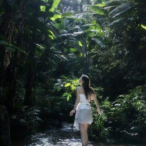 【Private Tour】Yunnan Xishuangbanna Forest Oxygen Heart 6-Day Tour