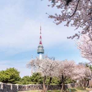 N Seoul Tower Observatory Ticket
