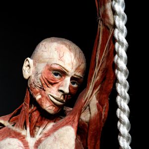 Body Worlds Amsterdam Ticket