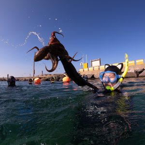 Jeju Haenyeo Experience
