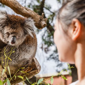 Adelaide Zoo Admission