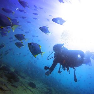 Gold Coast Introductory Scuba Diving Experience