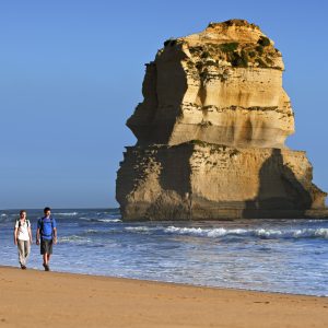 Great Ocean Road Tours