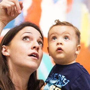 Houston Museum Pass