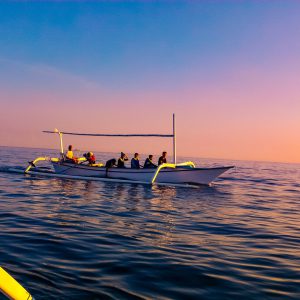 Bali Dolphin Watching and Ulun Danu Temple Private Day Trip