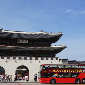 Seoul City Tour Bus Downtown Palace Namsan Hop-On Hop-Off Tours
