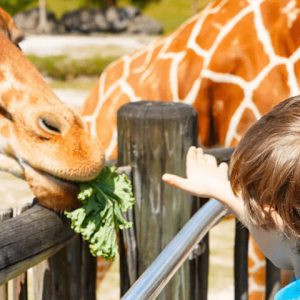 Zoo Miami Admission Ticket