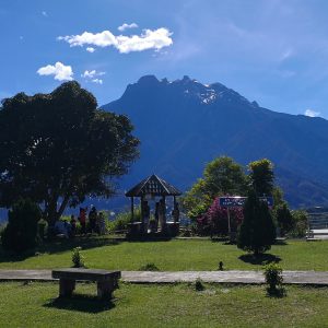 Kota Kinabalu Desa Cattle Farm Full-Day Small Group Tour