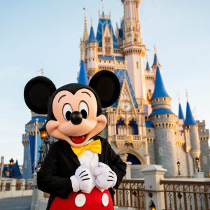 Walt Disney World Resort Ticket