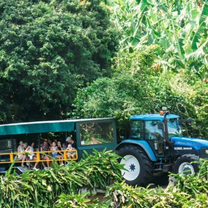 Gold Coast Tropical Fruit World & Byron Bay Day Tour